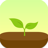 Forest健康软件app v3.10.6 安卓版
