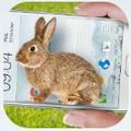 手机的小兔子玩笑 v1.1