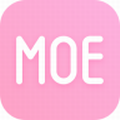 MOE v1.1.0