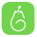 梨猫上学app v1.0.0
