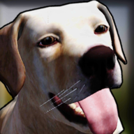 狗收容所模拟器3D汉化版 v6.0
