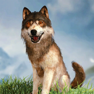 野狼模拟器3D安卓版 v1.3