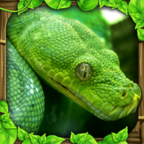 蟒蛇模拟器无敌版 v1.2.1